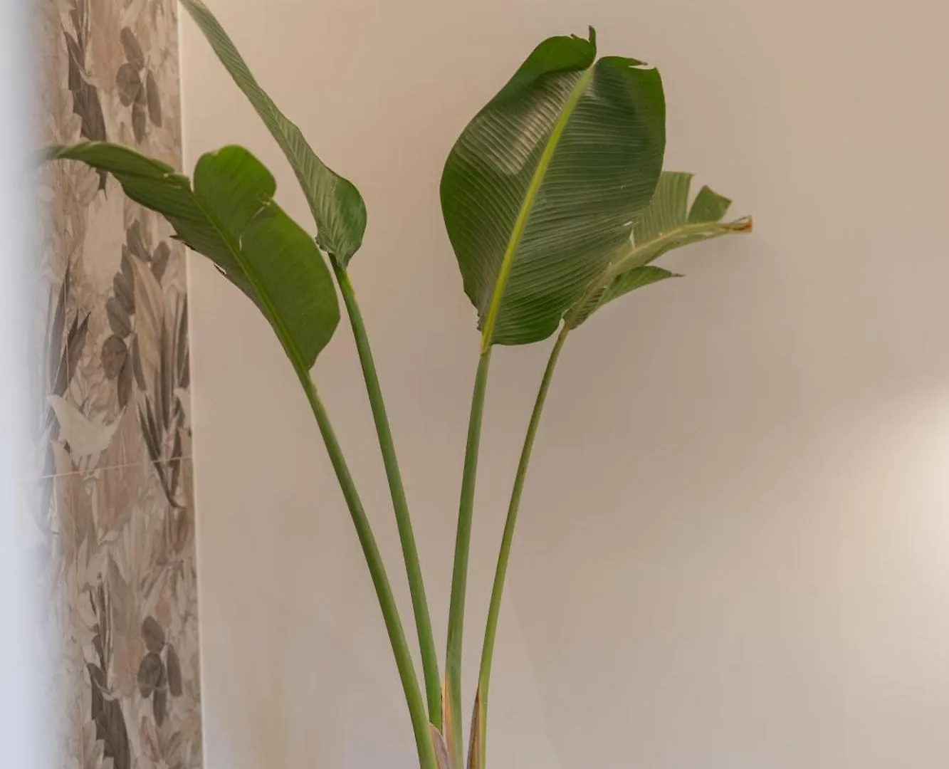 Le Fleur Suite Heraklion